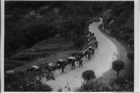 Fronte occidentale